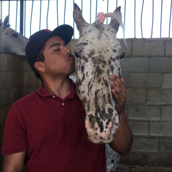 Meet your Posher, Divany - Picture 1 of 1